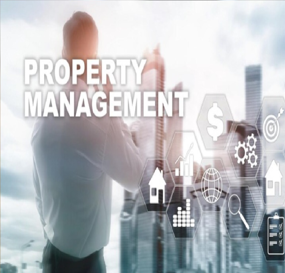 Zaidi real estate & builders Zaidi real estate & builders